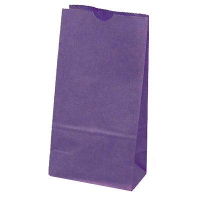 Purple Paper Bags*Favor Bags*Merchandise Bags-Set of 10