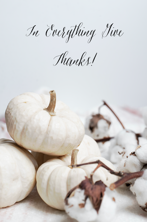 Wishing you a Happy Fall & a Wonderful Thanksgiving.