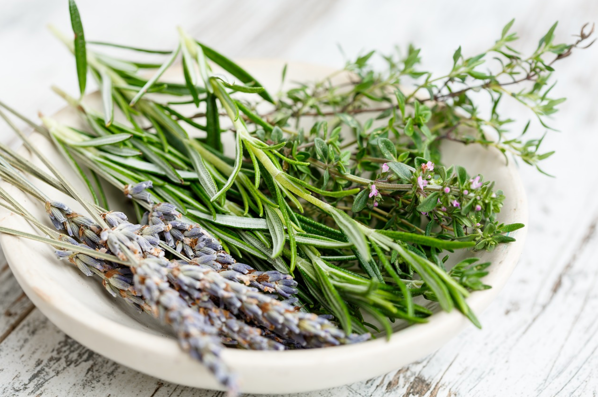 Nature's Gift to us - Cleaning with Herbs