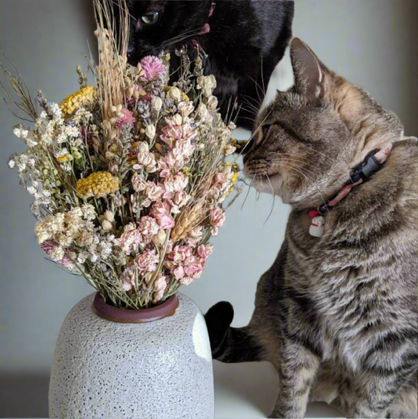 Larkspur: Dried Flowers in a bunch