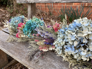 Dried Hydrangea Blossoms - 2024 Harvest, Amherst, VA - Additional Color