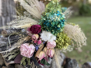 Dried Hydrangea Blossoms - 2024 Harvest, Amherst, VA - Additional Color