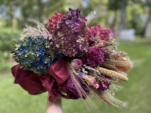 Dried Hydrangea Blossoms - 2024 Harvest, Amherst, VA - Additional Color