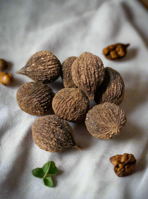 Black Walnuts from Amherst, VA-1 lb