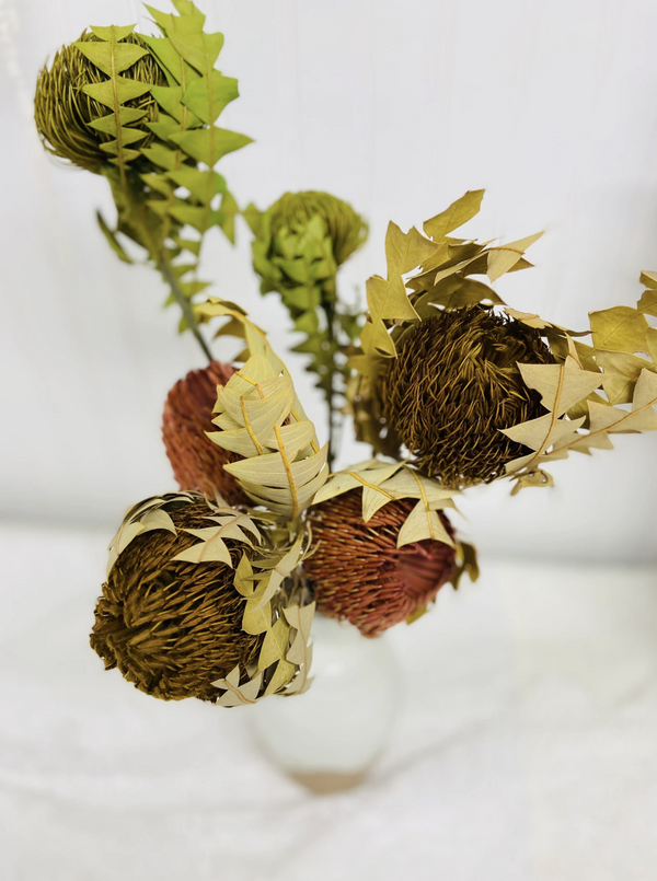 Dried Banksia Baxteri, Home Decor