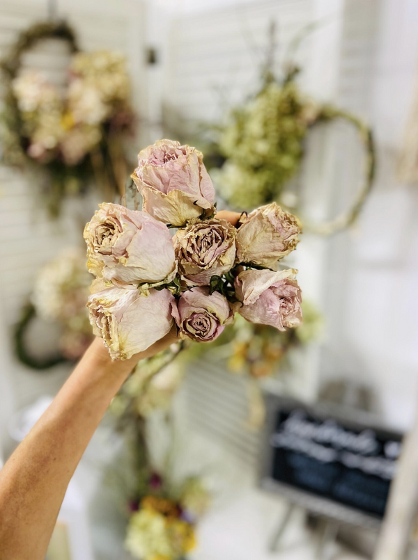 Dried Roses, Cream Vanilla Blush | Wedding and Home Decor