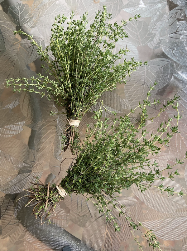 Dried Thyme - Amherst, Va