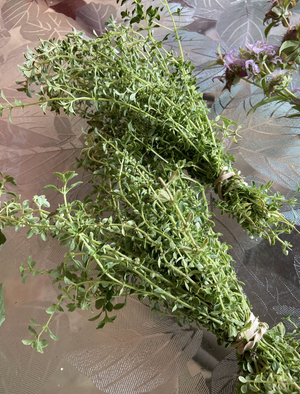 Dried Thyme - Amherst, Va