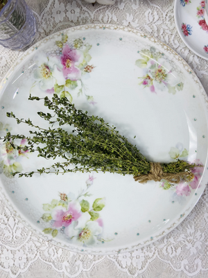 Dried Thyme - Amherst, Va