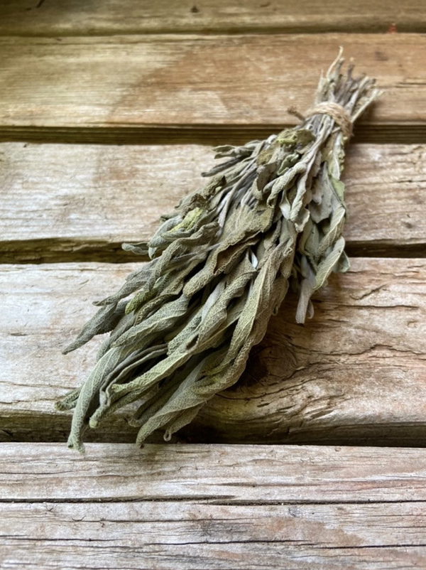 Dried Sage - Amherst, Va