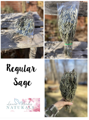Dried Sage - Amherst, Va