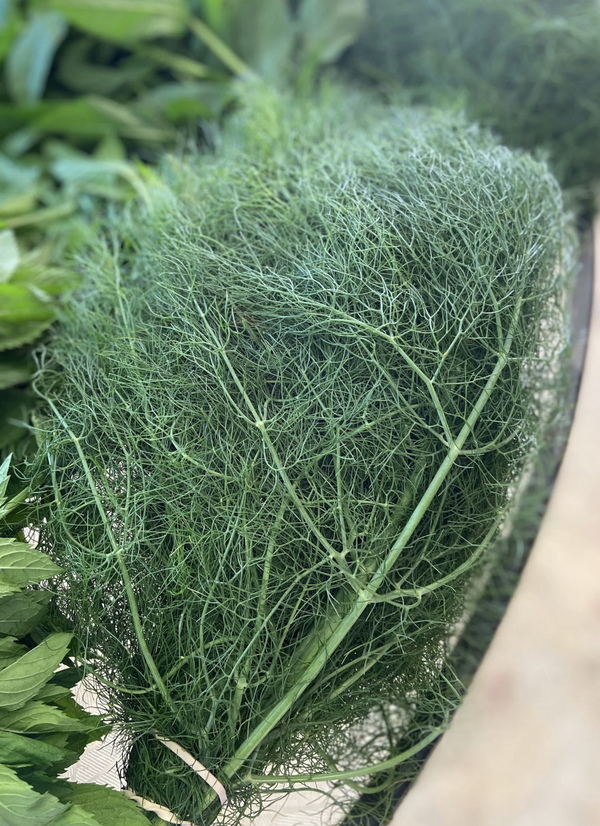 Dried Fennel - Amherst, Va