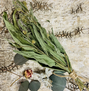 Dried Comfrey - Amherst, Va