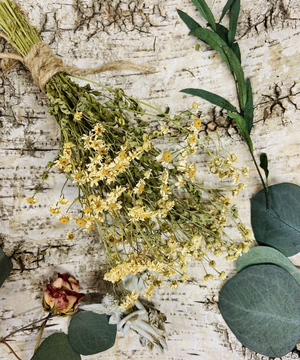 Dried Feverfew - Amherst, Va