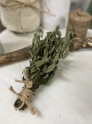 Dried Regular Mint- Amherst, Va