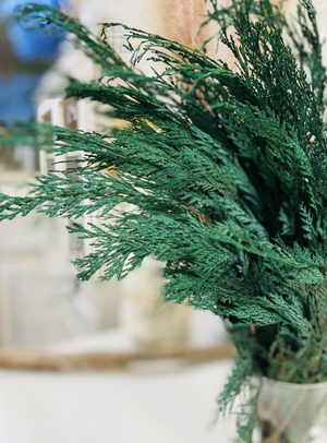 Preserved Cedar Bunch