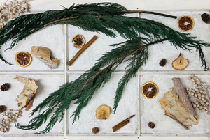 Preserved Cedar Bunch