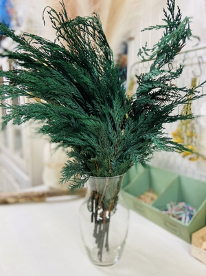 Preserved Cedar Bunch