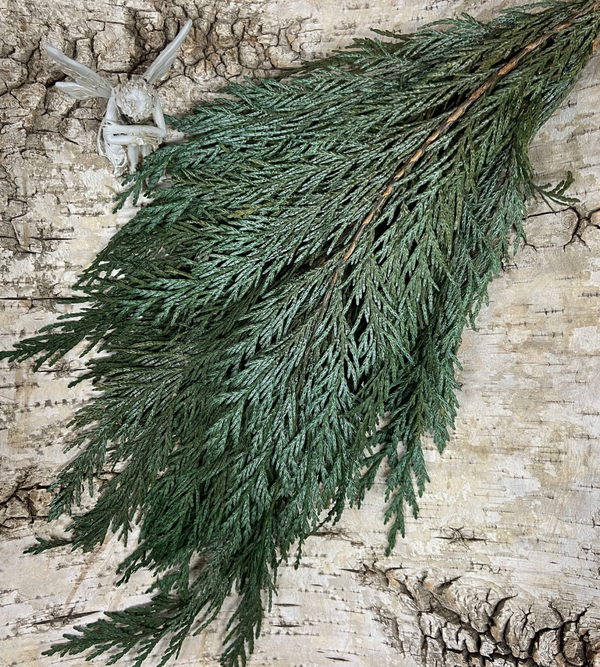 Preserved Cedar Bunch