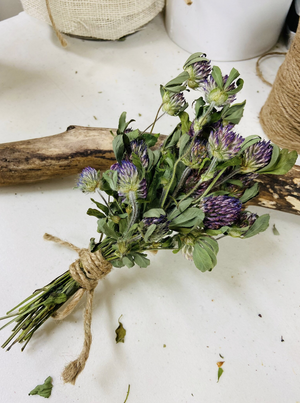 Dried Red Clover- Amherst, Va