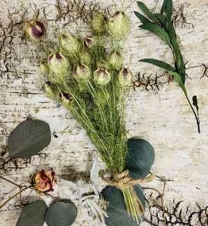 Dried Nigella aka Love in a Mist- Amherst, Va