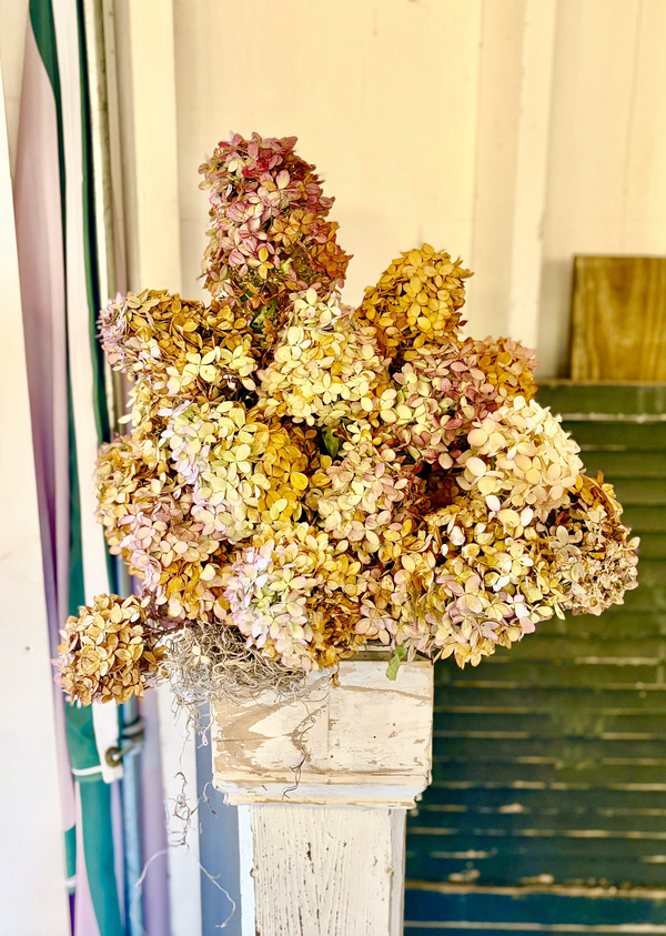 The Romantic Winter Collection: Cream and Blush Hydrangeas - Laura ...