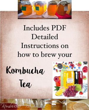 Kombucha Tea Home brewing Kits -1 Gallon with Jar