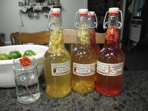 Kombucha Fermented Probiotic Tea Home brewing Kits -1 Quart
