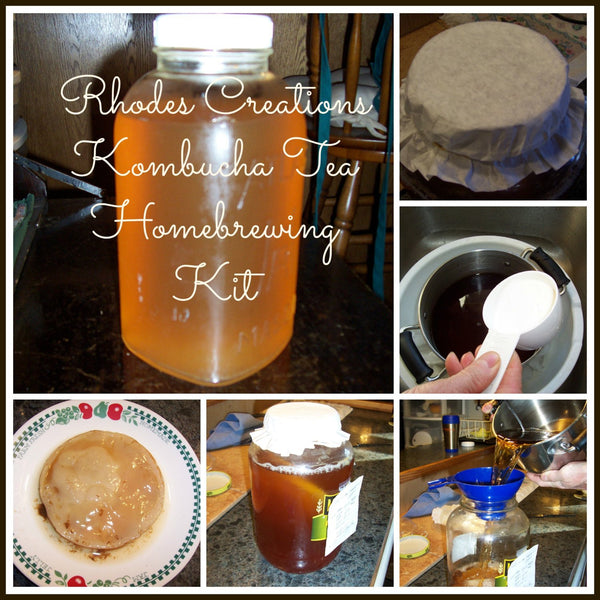 Kombucha Fermented Probiotic Tea Home brewing Kits -1 Quart