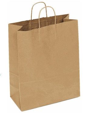 Kraft Paper Gift bag with handles-Set of 10